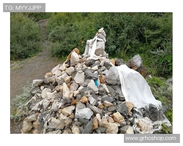 萨林杰的文学世界与人性探讨：从孤独到自我救赎的心灵旅程